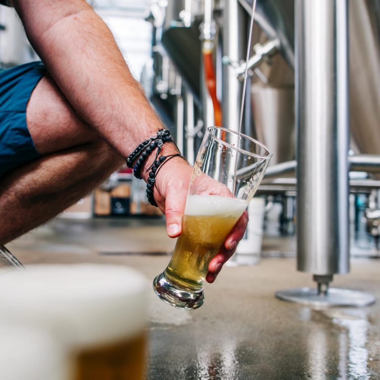 Warped Wing Brewing Co. Fly Light Lager