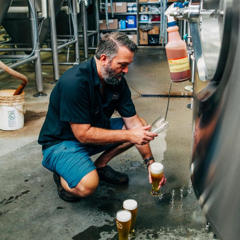 Warped Wing Brewing Co. Fly Light Lager